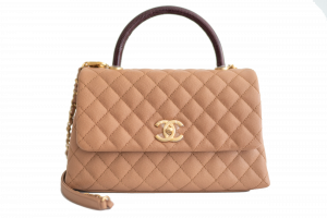 Bento Box BB  Rent A Louis Vuitton Handbag at Luxury Fashion Rental