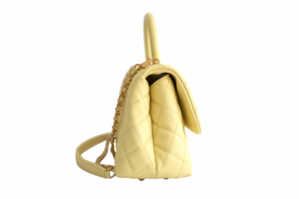 Mini Coco Handle Flap Bag Rent Chanel Bag Rent Luxury Bags