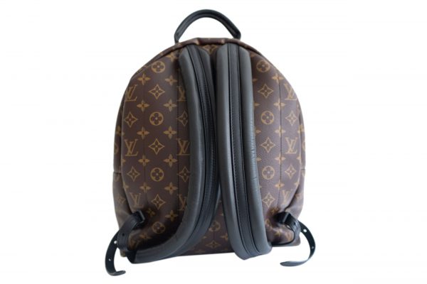 louis vuitton monogram canvas palm springs backpack mm masked