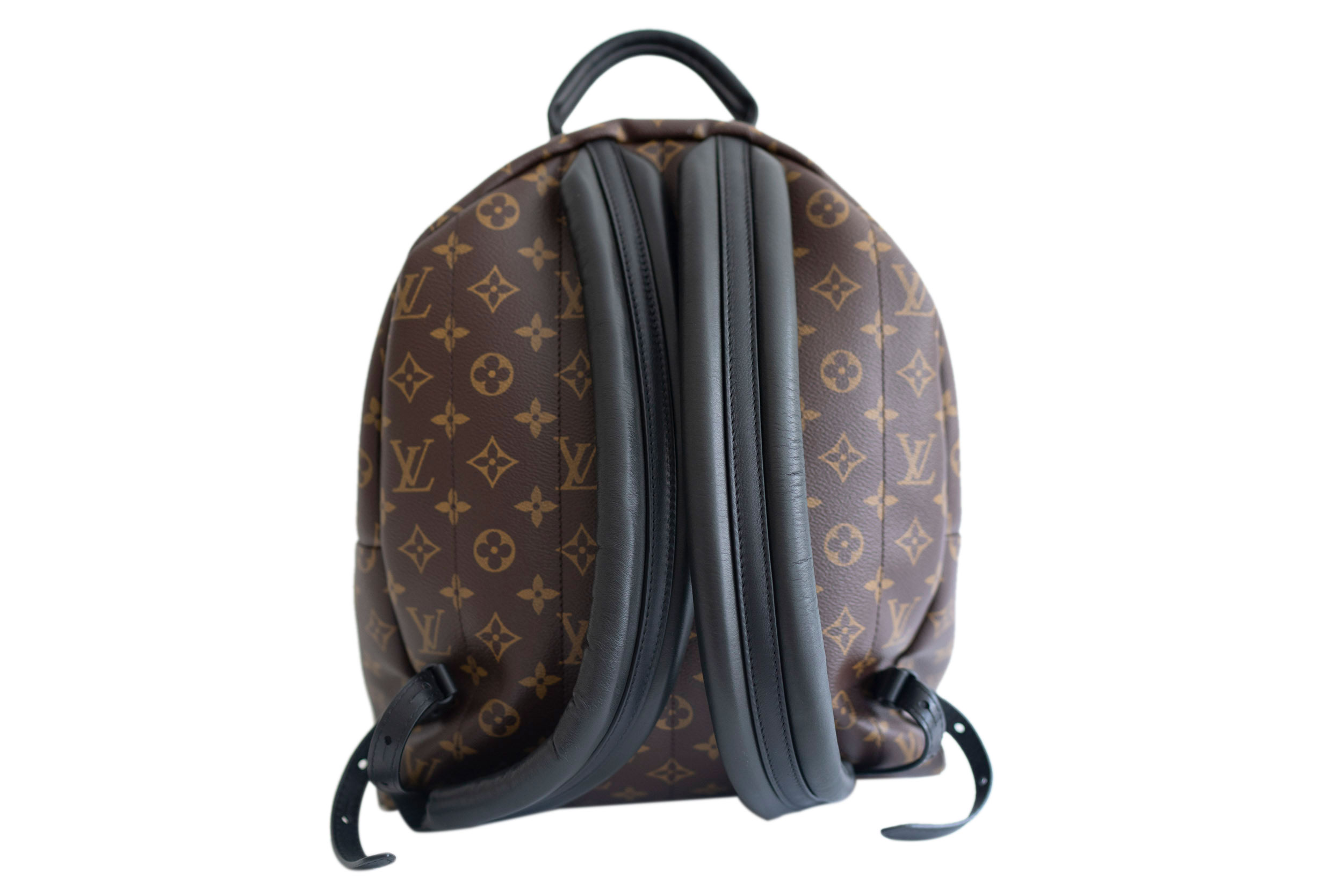 louis vuitton monogram canvas palm springs backpack mm masked