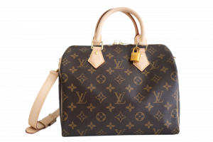 Rent Louis Vuitton Bag